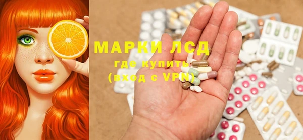 прущие грибы Абдулино