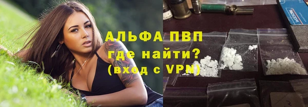 прущие грибы Абдулино