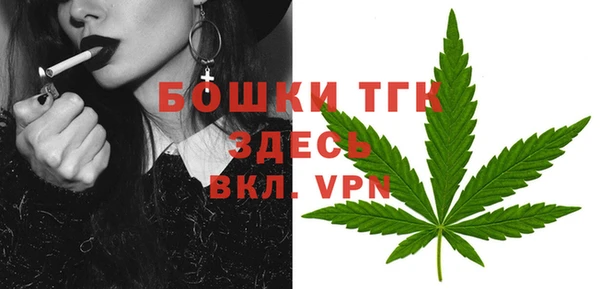 прущие грибы Абдулино