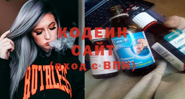 соль ск Няндома