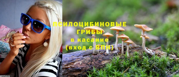 шишки Нягань