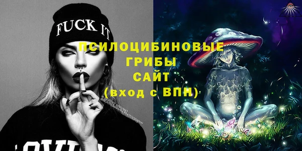 прущий лед Абаза