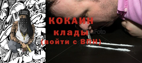 соль ск Няндома