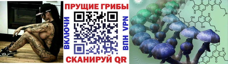 наркошоп  Бирюсинск  Псилоцибиновые грибы ЛСД 